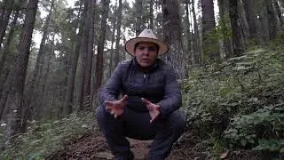 3 TIPS para iniciar en la FOTOGRAFÍA de PAISAJES! Consejos de fotografía en español.