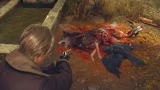 Resident evil 4 remake / 🐺