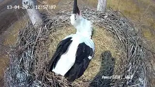 Родители-рекордсмены