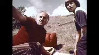 Your Chance To Live: Forest Fire (1973) Disaster, Civil Defense