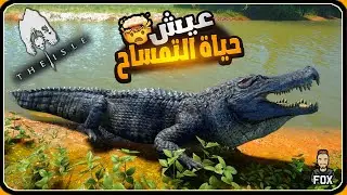 محاكي الديناصورات - حياة التمساح the isle evrima (11#)