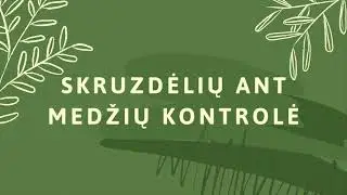 Du paprasti būdai kaip užkirsti kelią skruzdėlių patekimui ant medžių