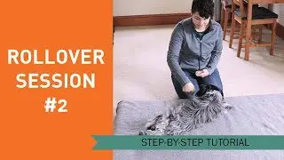 How to Train Your Dog to Roll Over - Session 2