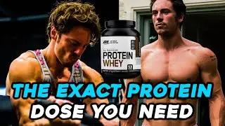 How Much Protein Should You Eat On A Clean Bulk