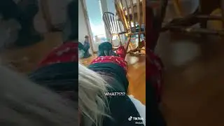 Girl farts on Dog face. (dog shocked)