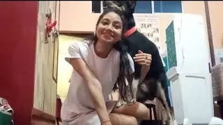 My Dog ​​Shinchan Goes Crazy At Night Before Bed And During The Day He Became Very Good