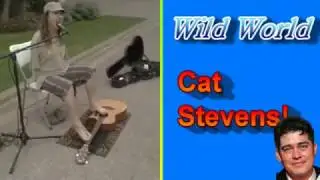 Wild World - Cat Stevens Cover