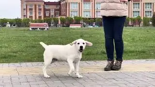 8 мая 2024 г.