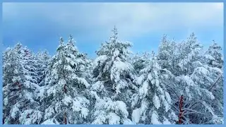 1 hour of Calm Music in a Winter Wonderland