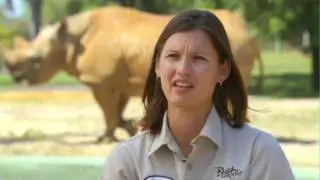 Working With Animals