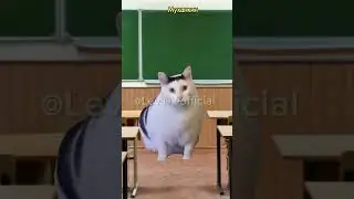 Как свалить с урока🤣#хочуврек#котики#футажи#shorts Автор звука:@neknear