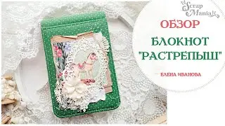 Обзор блокнота-растрепыша 
