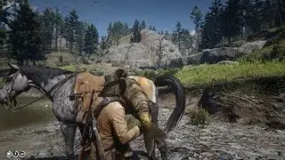 Red Dead Redemption 2 instant privilégié !