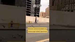 13 февраля 2024 г.