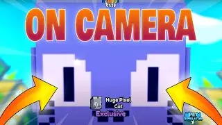 TOP 2 YouTubers *HATCHED HUGE PIXEL CAT* On Camera In Pet Simulator X (Roblox)