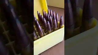 Pro-Tactical Ammo Box Range Case - Pack and Carry Your Reloads for the Shooting Range!