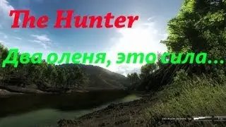 The Hunter-Два оленя, это сила...