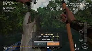 Unique Arapaima on 22lb Fenix Amazonian Maze Fishing Planet