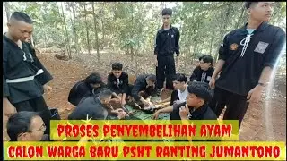 PSHT || Proses penyembelihan ayam untuk pengesahan calon warga baru psht jumantono