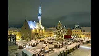 Estonia (Tallinn) | NOT BAD WEEK