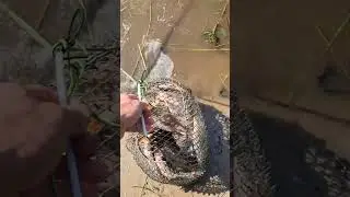 Гауя - отчёт#Рыбалка#Fishing #Окунь#2024#Feeder