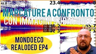 How to Interpret Fishfinder Markings: Mondo Eco Reloaded, Episode 4