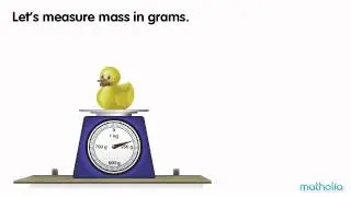 Using a Scale - Grams