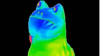 HD Green Screen ✩ Rainbow Frog Dance Pepe