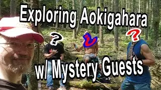 Exploring Aokigahara with Mystery Guests!