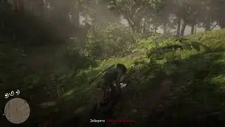 Red Dead Redemption 2 ловзш