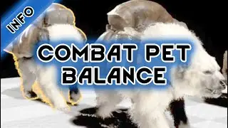 Mortal Online 2 Combat Pet balancing will come 4K CEO Statement