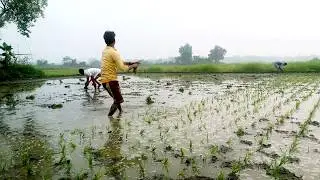 সবচেয়ে সুন্দর একটি গ্রাম 'বাংলাদেশের  ।। Beautiful Village of Bangladesh 2020|