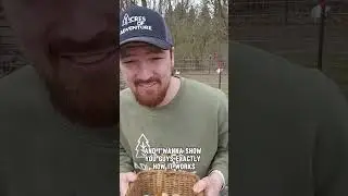 Homemade Automatic Egg Collector