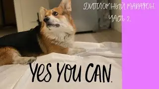 Дипломный марафон. Часть 2. Страдания по второму проекту.