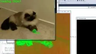 Automatic Colour Filtering and Tracking with OpenCV