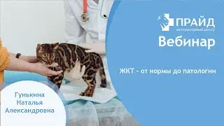 ЖКТ - от нормы до патологии.