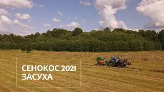 Сенокос 2021. Начало
