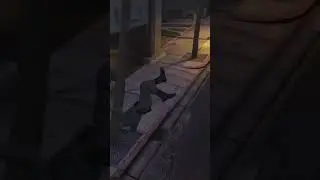 GTA Hurtful Stealth
