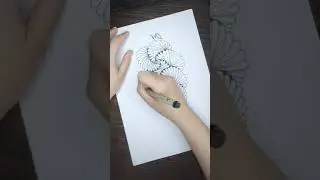 How to draw HAMADOX tangle pattern | Doodle Pattern | Zentangle doodle