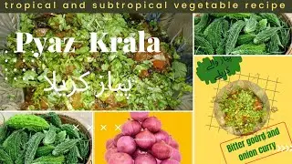 Pyaz karalay ke sabzi Recipe| Onion & bitter gourd curry | پیاز کریلے کا سالن |A Lines Spice World
