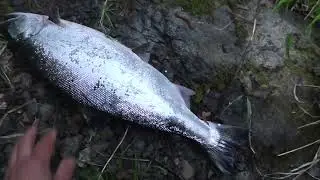 На рыбалку за симой 2022 г.