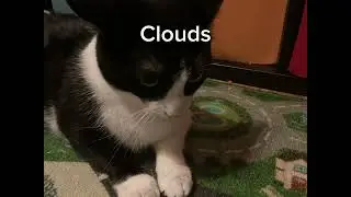 Clouds - MrDooley126