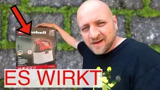 Giftspritzen Unkraut entfernen Pflastersteine Ritzen und Co