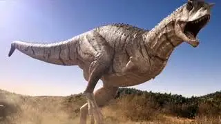 Dinosaurs Facts 