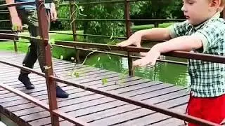 Детский отдых в Подмосковье