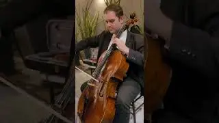 Hallelujah - Violoncello
