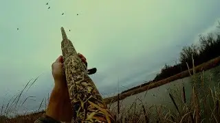 Охота на утку. Два дуплета и сезон закрыт. Осенняя охота на утку.