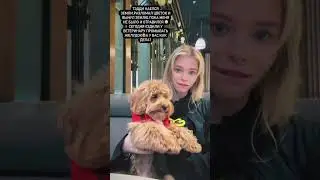 Как у вас дела? 