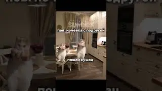 пов:ночёвка с подругой #мемы #2024 #twice #котикимемы #мемыкоты