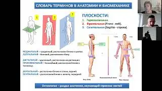 1  Общая и возрастная остеология